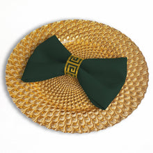 Load image into Gallery viewer, 17 in. Polyester Napkins Hunter Green (1 Dozen)