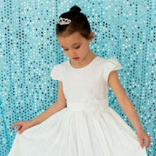 Load image into Gallery viewer, 50 x 120 in. Sheer Sequin Backdrop Draping (5 Colors)