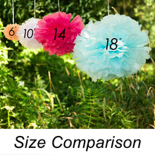 Load image into Gallery viewer, 14 in. Tissue Paper Pom Poms 4/Pack (2 Colors)
