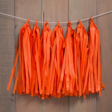 Load image into Gallery viewer, Pastel Tissue Paper Tassel (4 Colors)

