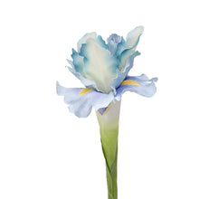 Load image into Gallery viewer, 26 in. Silk Iris
