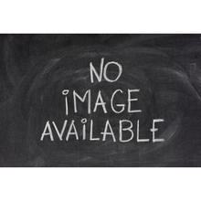 Load image into Gallery viewer, 15 in. Foam Rose Wallflower (2 Colors)

