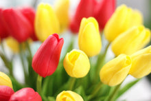 Load image into Gallery viewer, 10 Yellow foam Tulips

